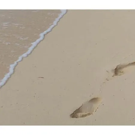 Holiday home Juchmann Modern Retreat *