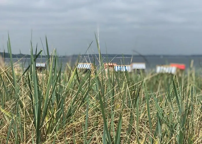 Casa de Férias Juchmann Modern Retreat